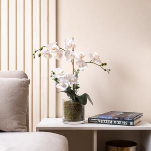 Artificial White Orchid with Eucalyptus in Glass Plant Pot