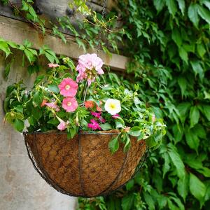 Netted Wire Hanging Basket