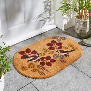 Sparrow Coir Outdoor Doormat MultiColoured