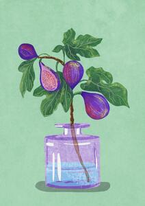 Art Print Figs Branch In Vase, Raissa Oltmanns, (30 x 40 cm)