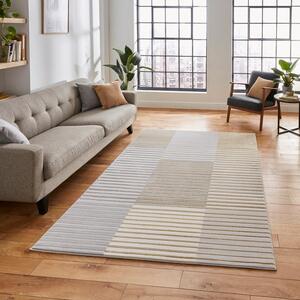 Apollo Abstract Stripe Rug