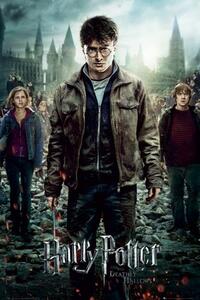 Poster Harry Potter - Deathly Hallows, (61 x 91.5 cm)