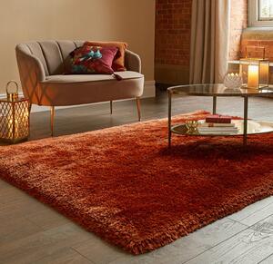 Jewel Shaggy Rug