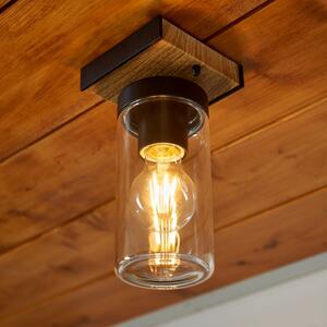Fulton Industrial Outdoor Flush Ceiling Light