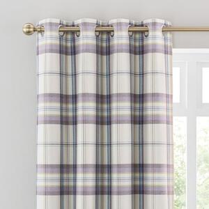 Henley Checked Eyelet Curtains