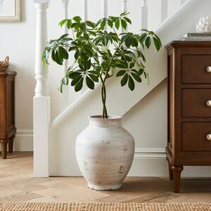 Traditional Stone Vase