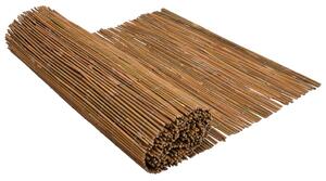 Bamboo Fence 500x100 cm