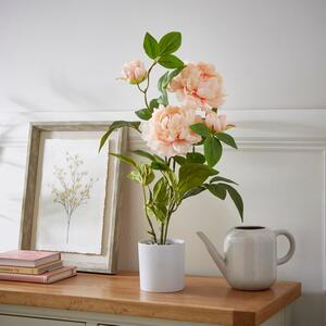 Artificial Pink Peony in White Cement Plant Pot