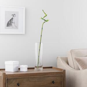 Artificial Lucky Bamboo Stem