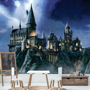 Harry Potter Hogwarts Wall Mural