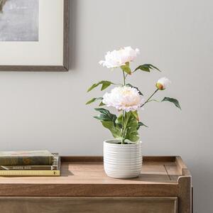 Artificial Peony in White Ceramic Plant Pot