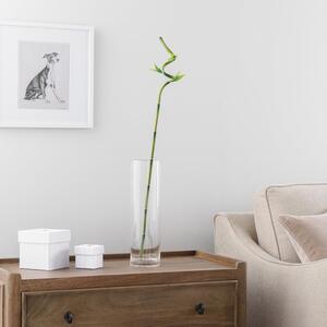 Artificial Lucky Bamboo Stem