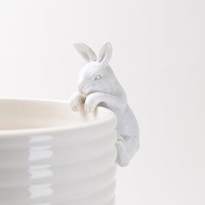 Rabbit Plant Pot Climber