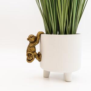 Monkey Plant Pot Climber