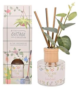 The Cottage Garden Orange Blossom 'Lovely' Diffuser