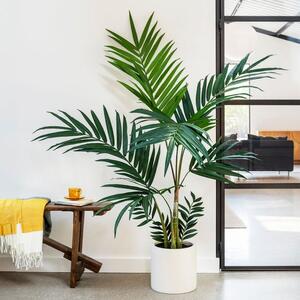 Artificial Kentia Palm Plant