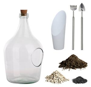 Fallen Fruits DIY 3 Litre Terrarium Bottle Kit