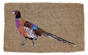 Fallen Fruits Pheasant Coir Doormat