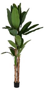Decorative Plant Home ESPRIT Polyethylene Cement Banana plant 90 x 90 x 290 cm