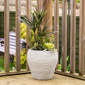 Artificial Mixed Agave in Grey Pot