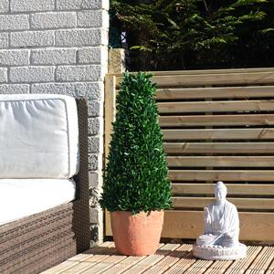 Artificial Cone Topiary in Terracotta Pot