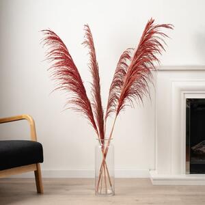 Dried Pampas Grass Bundle