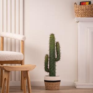 Artificial Cactus in Black Plastic Plant Pot