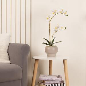 Artificial White Phalaenopsis Orchid in Round Ceramic Plant Pot