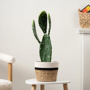 Artificial Prickly Pear in Black Plastic Plant Pot