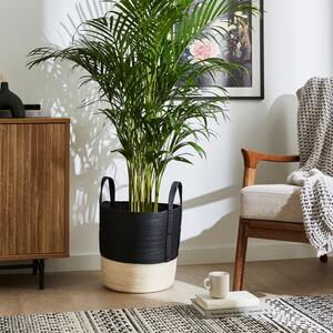 Block Colour Medium Storage Basket