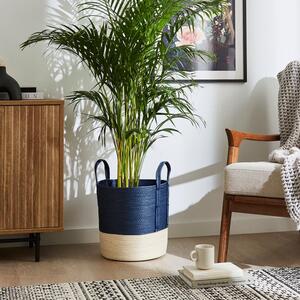 Block Colour Medium Storage Basket