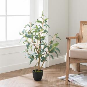 Artificial Seeding Eucalyptus Tree in Black Pot
