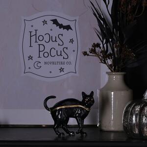 Black Cat Trinket Box