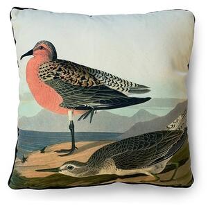 The Art Group John James Audubon Red breasted Sandpiper Velvet Square Cushion