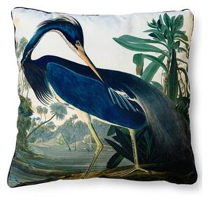 The Art Group John James Audubon Louisiana Heron Velvet Square Cushion