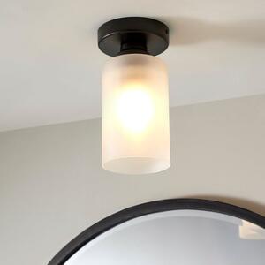 Fryer Bathroom Flush Ceiling Light