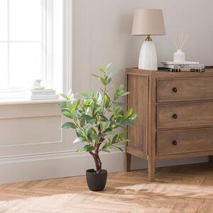 Artificial Sweet Bay Magnolia in Black Plastic Plant Pot