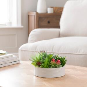 Artificial Succulent in Round Ceramic Plant Pot