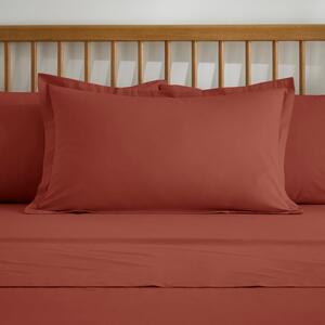 Pure Cotton Standard Pillowcase Pair