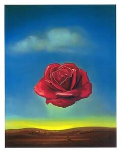 Art Print Meditative Rose, 1958, Salvador Dalí, (24 x 30 cm)