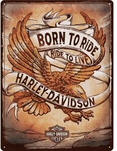Metal sign Harley-Davidson - Born to Ride, (30 x 40 cm)