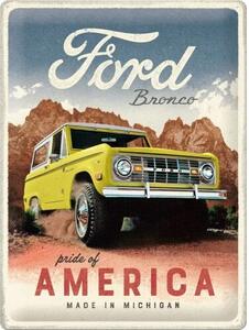 Metal sign Ford - Bronco - Pride of America, (30 x 40 cm)