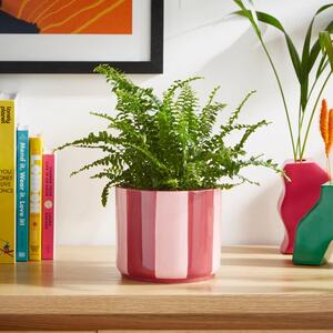 Elements Striped Ceramic Plant Pot