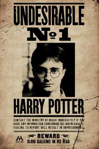 Art Poster Harry Potter - Undesirable No 1, (26.7 x 40 cm)