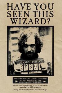 Art Poster Harry Potter - Wanted Sirius Black, (26.7 x 40 cm)