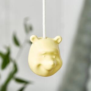 Disney Winnie the Pooh Head Light Pull