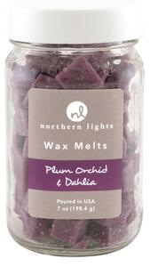 Northern Lights Plum Orchid & Dahlia Wax Melts