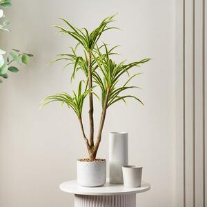 Artificial Real Touch Yucca Tree in White Speckled Plant Pot