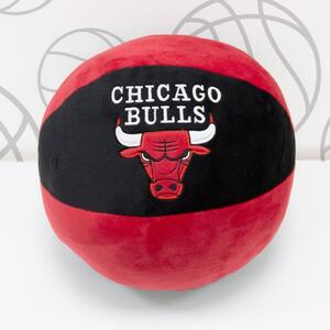 NBA Chicago Bulls 3D Cushion