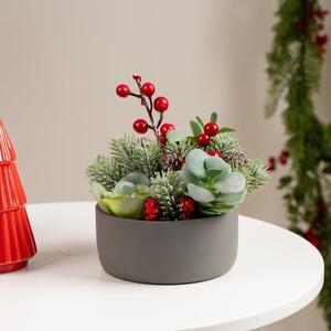 Artificial Christmas Succulents in Grey Cement Plant Pot